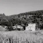 Le Sanglier Noir 14 *