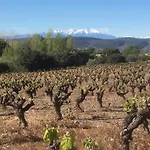 Le Sanglier Noir 14 ホームステイ Villeneuve-les-Corbières