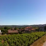 Le Sanglier Noir 14 ホームステイ Villeneuve-les-Corbières