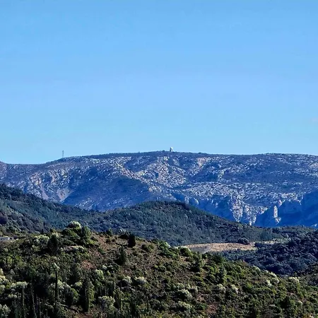Le Sanglier Noir 14 ホームステイ Villeneuve-les-Corbières
