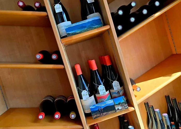 Le Sanglier Noir 14 Villeneuve-les-Corbières